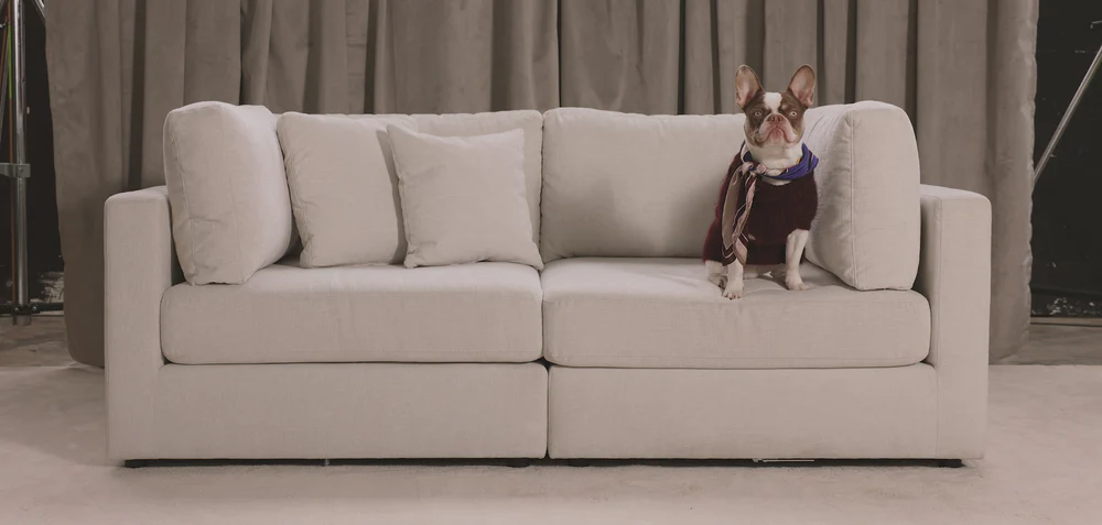 Designer Comfort for Every Home